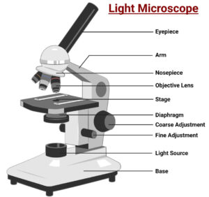 Isikli Mikroskop detaylar e1651259606247