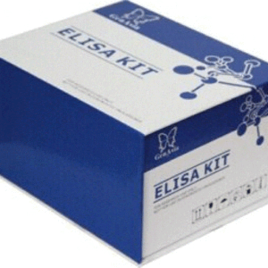 elisa box 1024x1024 1